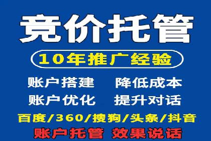 网络推广竞价策略解析与应用案例